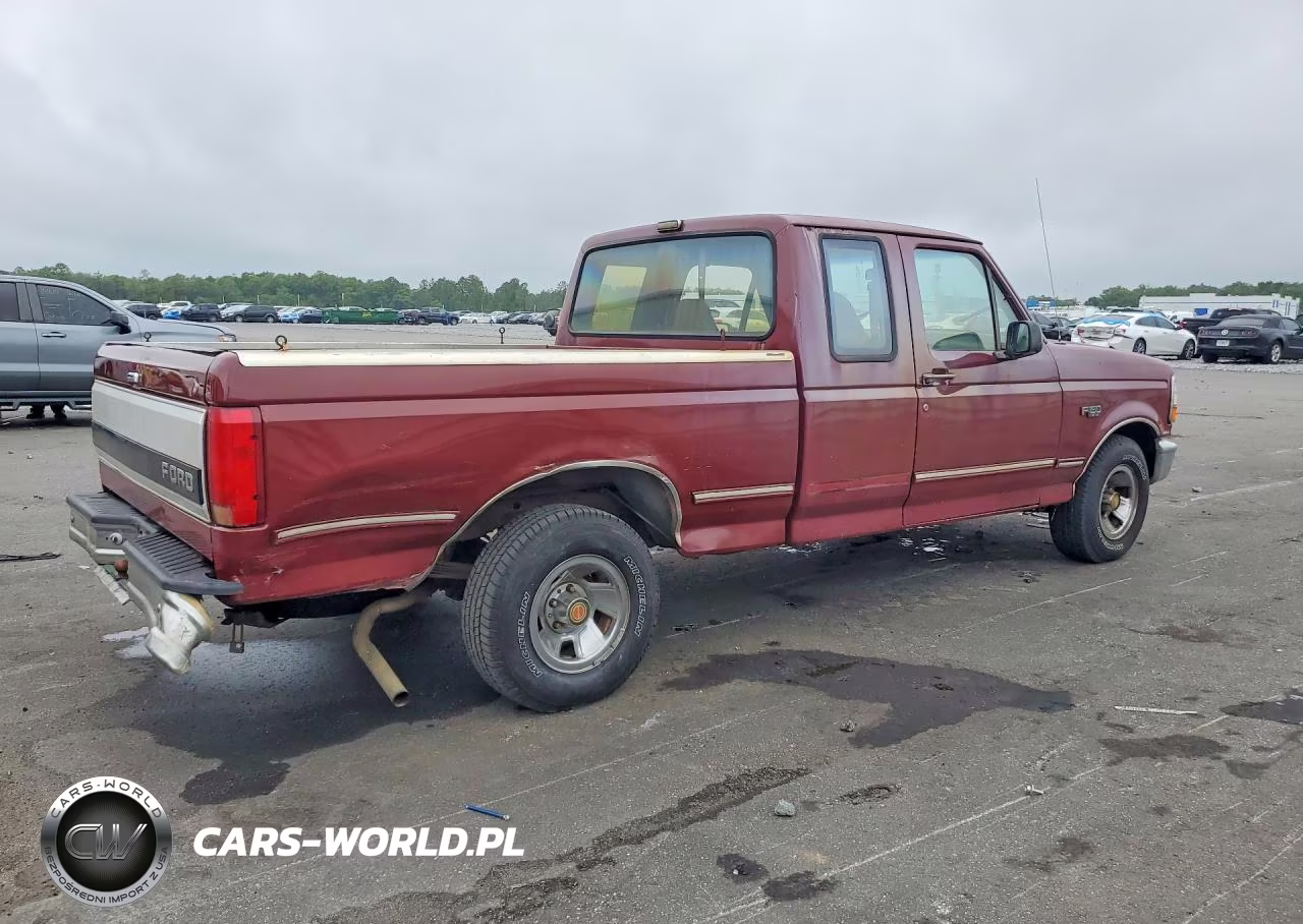 1993 Ford F150 VIN:1FTEX15N3PKA89847 - 3
