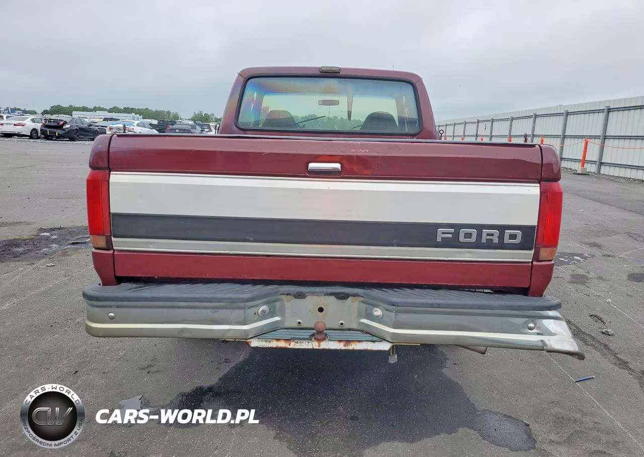 1993 Ford F150 VIN:1FTEX15N3PKA89847 - 6
