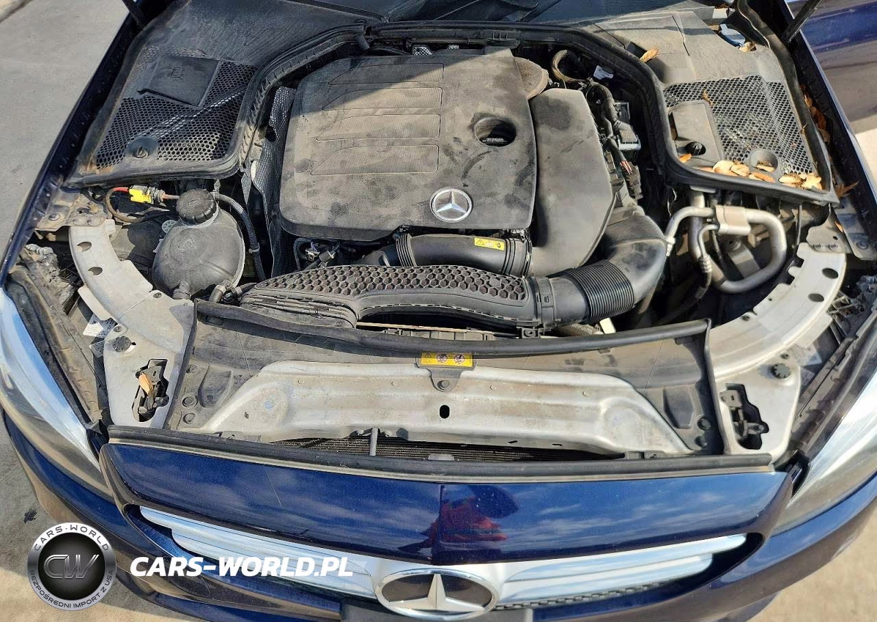 2019 Mercedes-Benz C 300 VIN:55SWF8DB2KU302332 - 11