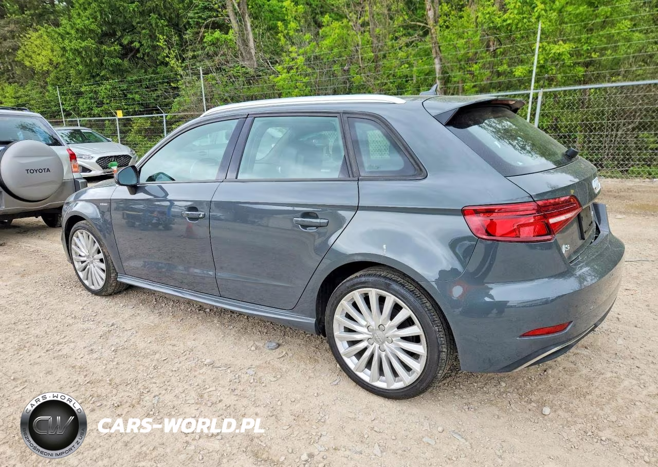 2017 Audi A3 E-Tron Premium VIN:WAUUPBFF0HA053109 - 2