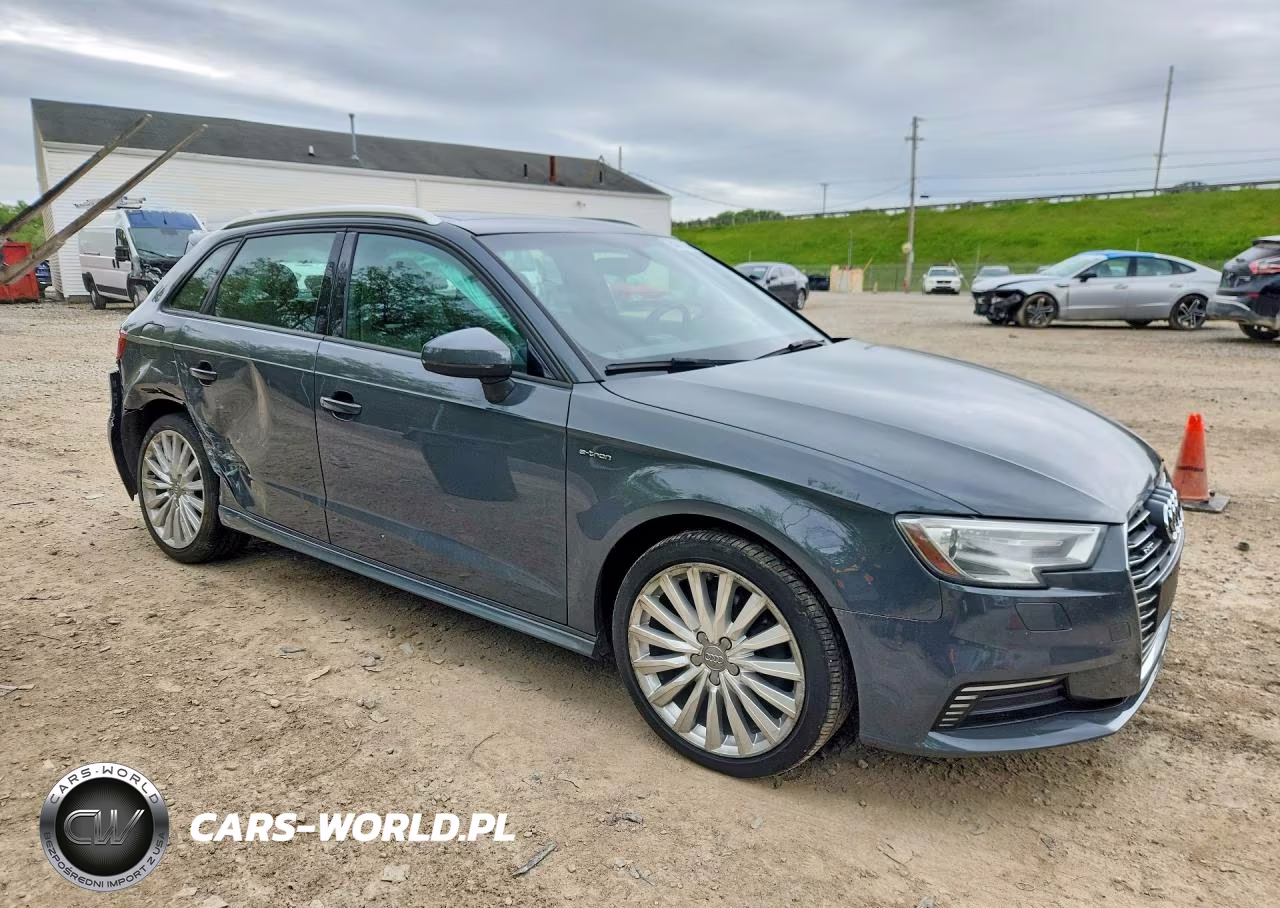 2017 Audi A3 E-Tron Premium VIN:WAUUPBFF0HA053109 - 4