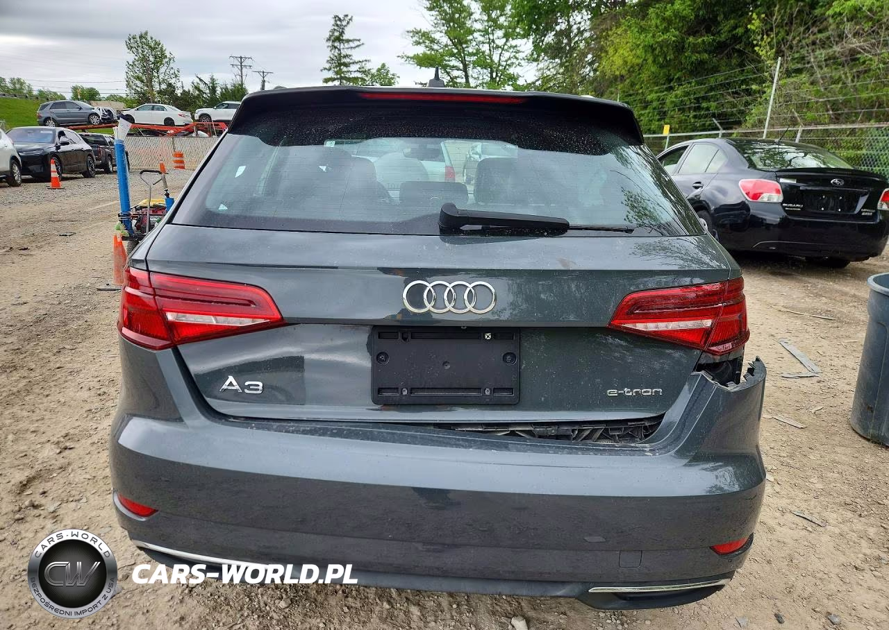 2017 Audi A3 E-Tron Premium VIN:WAUUPBFF0HA053109 - 6