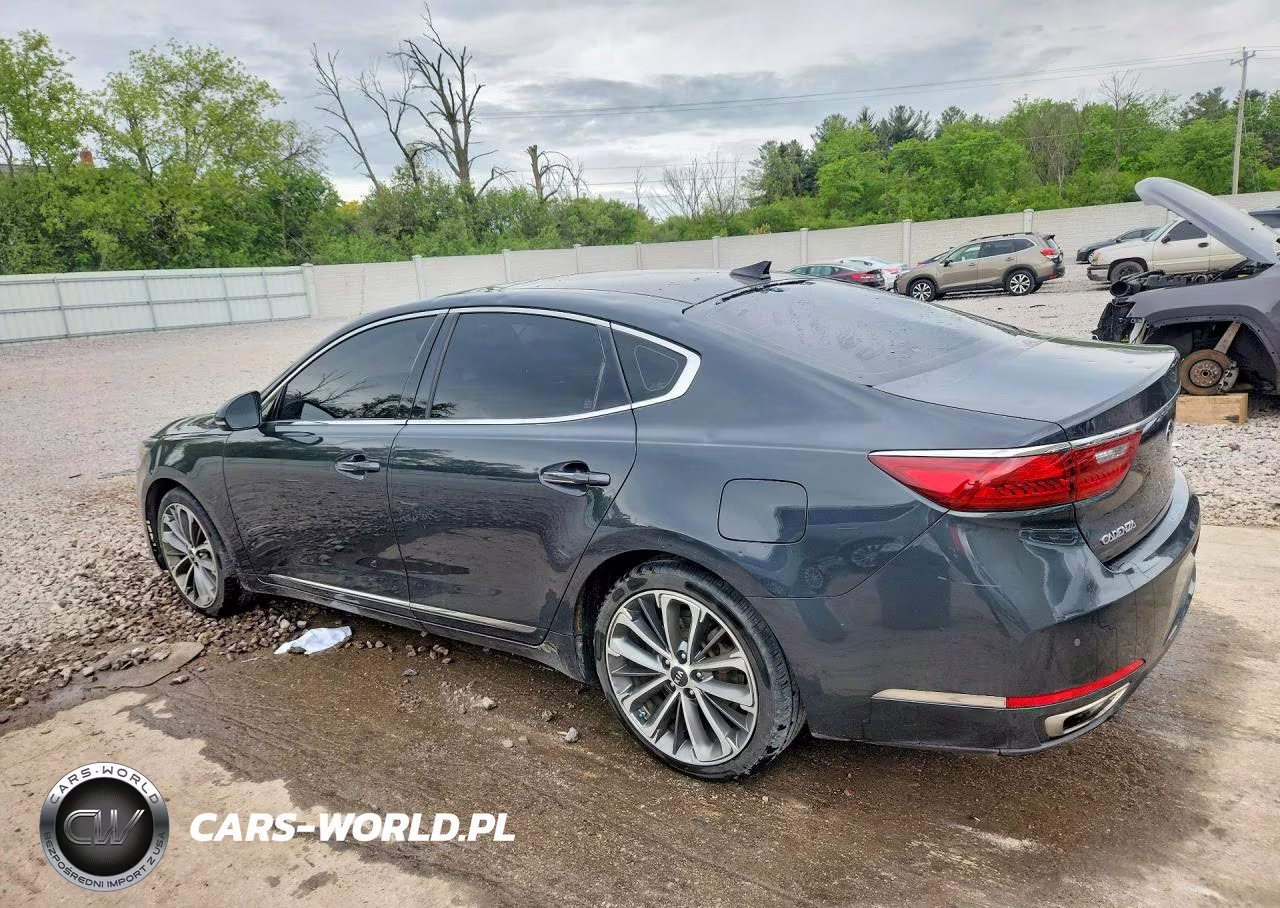 2017 Kia Cadenza Technology VIN:KNALC4J1XH5064089 - 2
