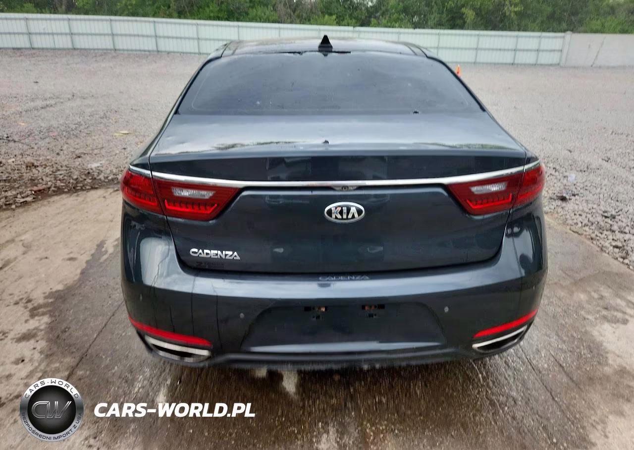 2017 Kia Cadenza Technology VIN:KNALC4J1XH5064089 - 6