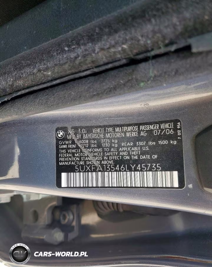2006 BMW X5 3.0I VIN:5UXFA13546LY45735 - 13