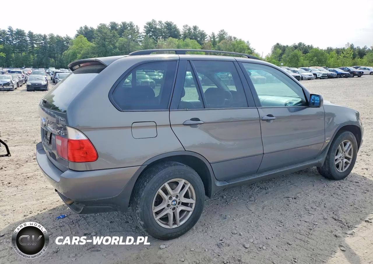 2006 BMW X5 3.0I VIN:5UXFA13546LY45735 - 3