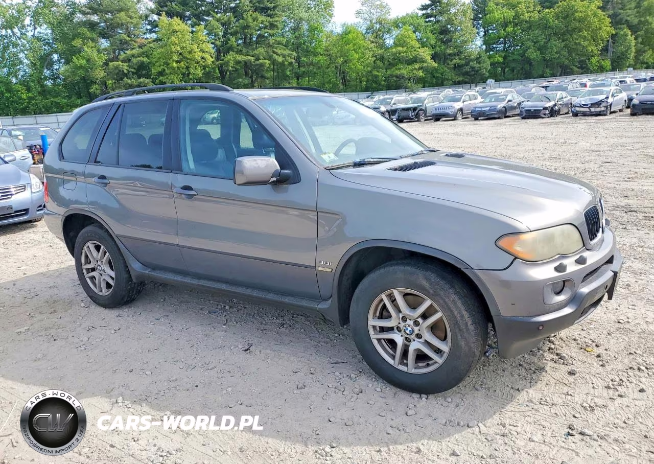 2006 BMW X5 3.0I VIN:5UXFA13546LY45735 - 4