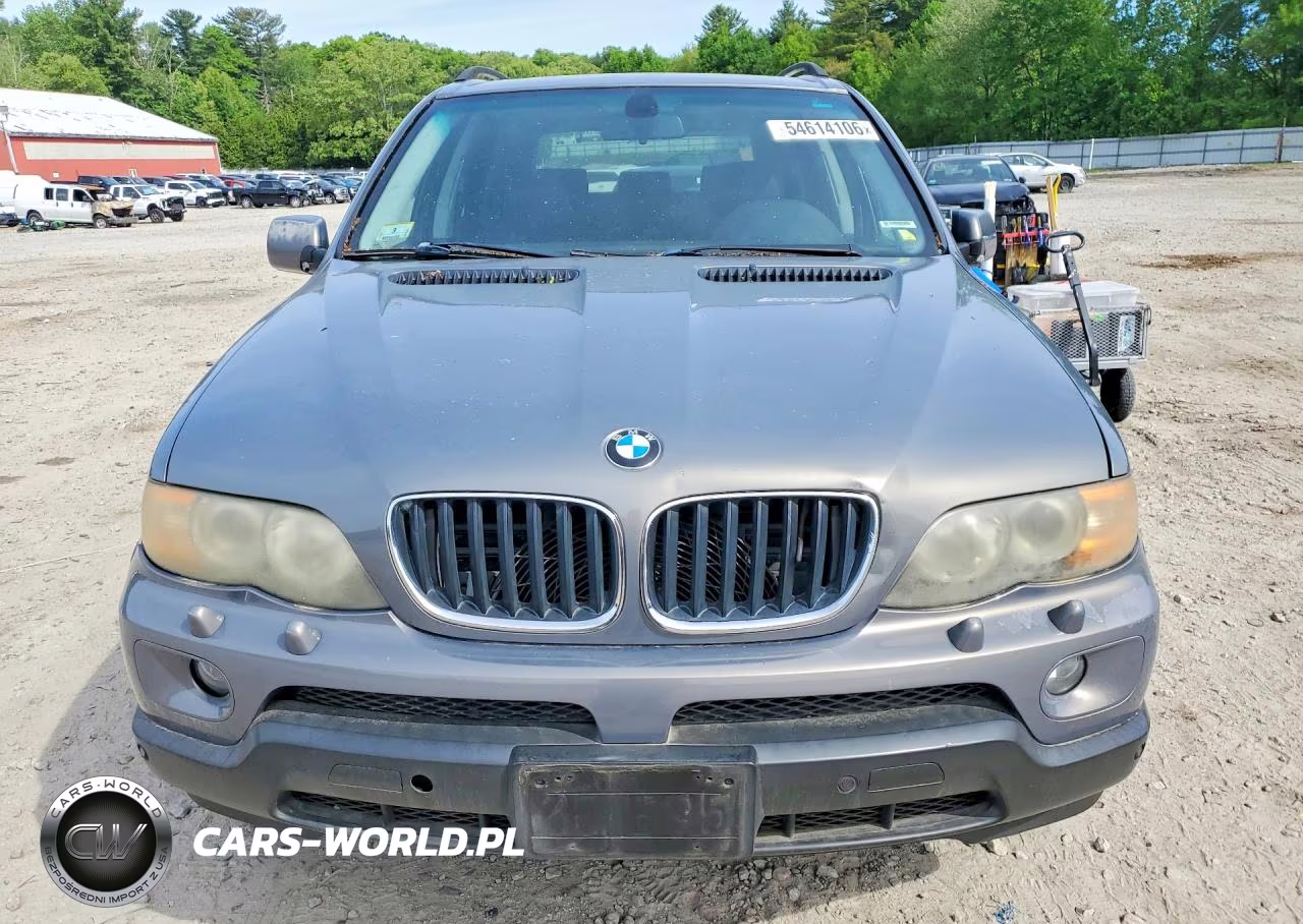 2006 BMW X5 3.0I VIN:5UXFA13546LY45735 - 5