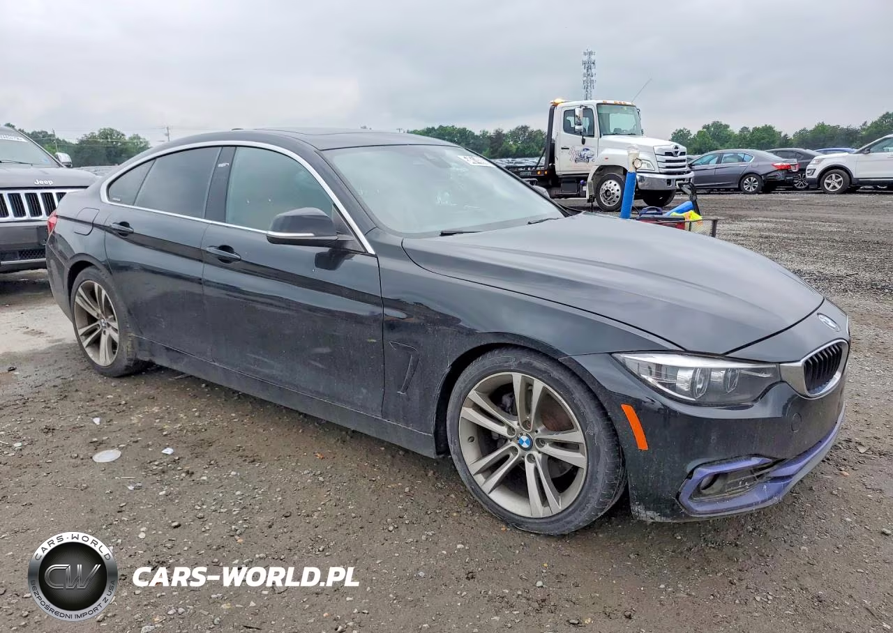 2019 BMW 430I Gran Coupe VIN:WBA4J1C56KBM14643 - 4