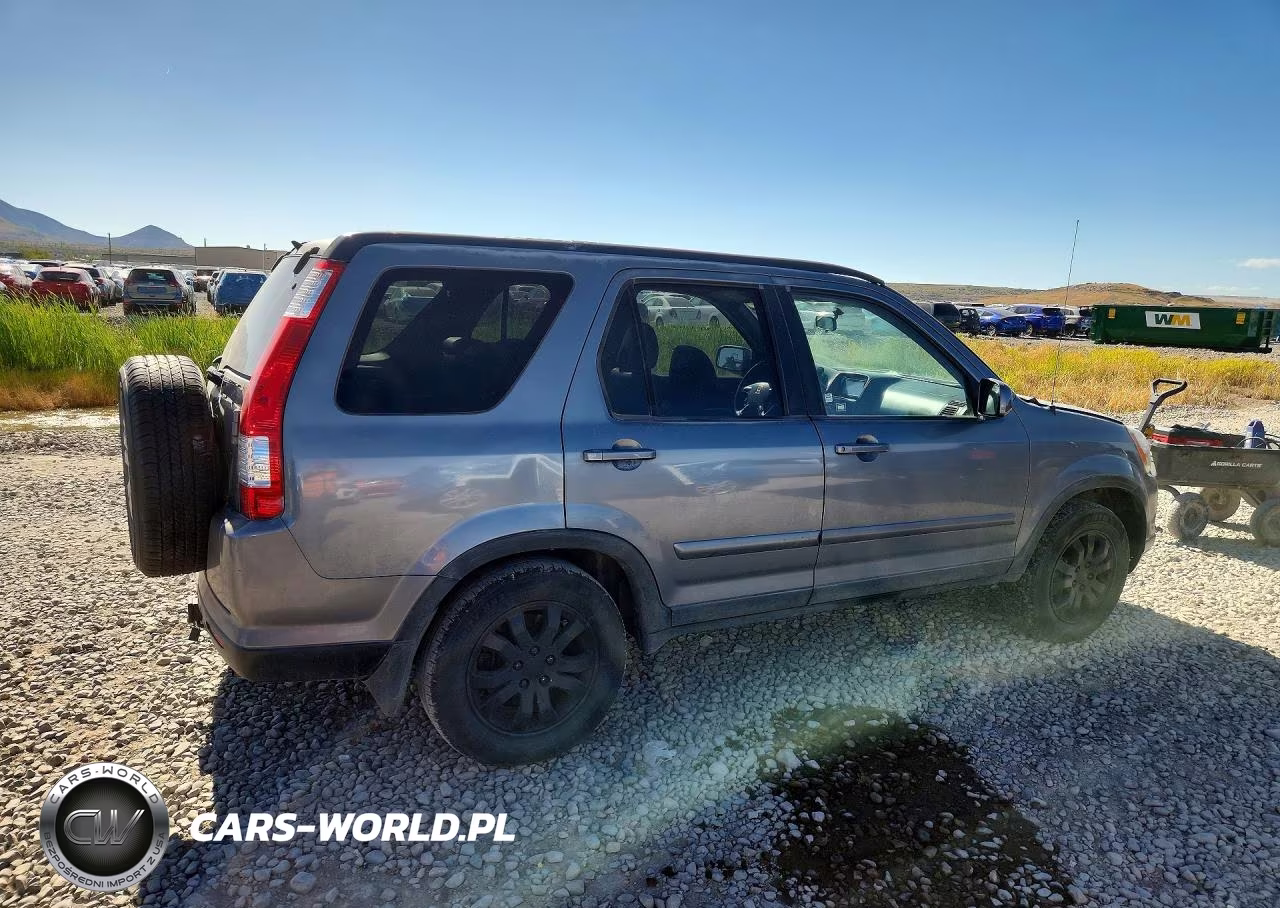 2005 Honda Cr-V Se VIN:JHLRD78945C039884 - 3