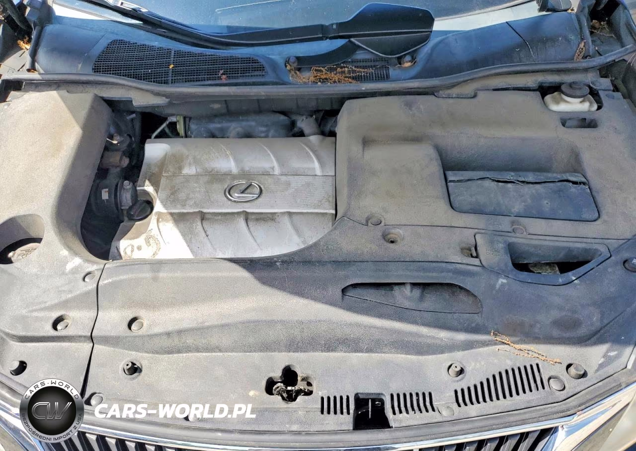 2010 Lexus Rx 350 VIN:2T2BK1BA2AC076174 - 12
