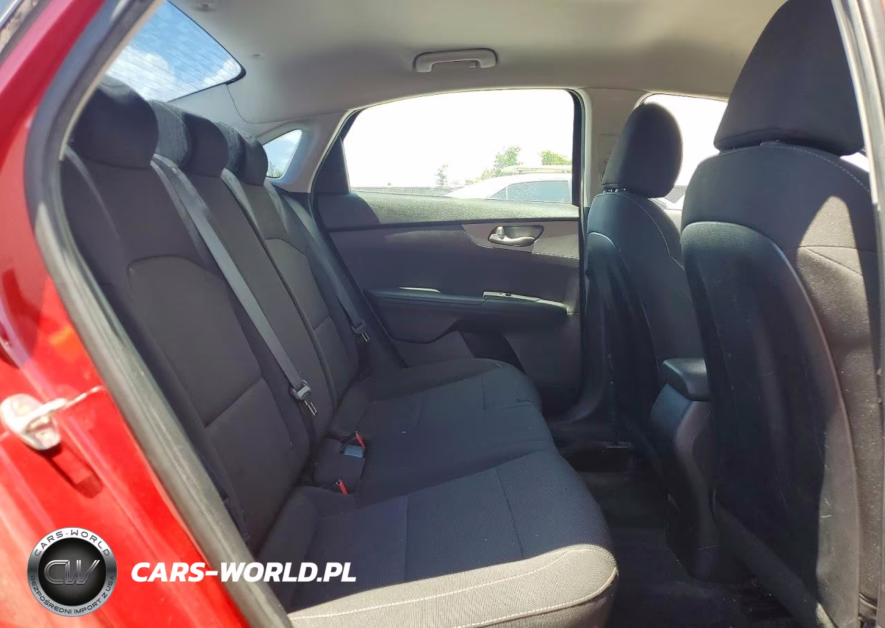 2019 Kia Forte Lxs VIN:3KPF24AD2KE079419 - 10