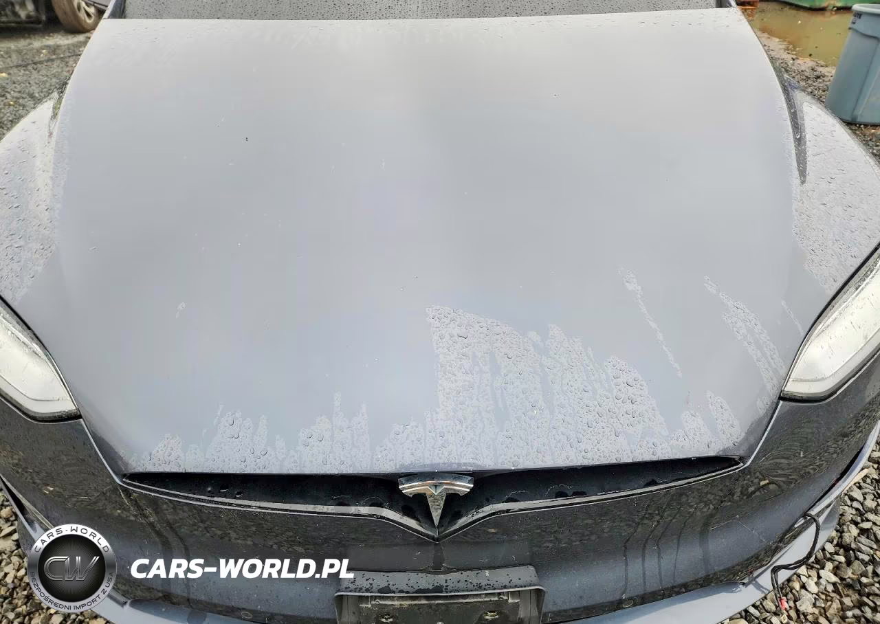2023 Tesla Model X VIN:7SAXCAE56PF365586 - 12