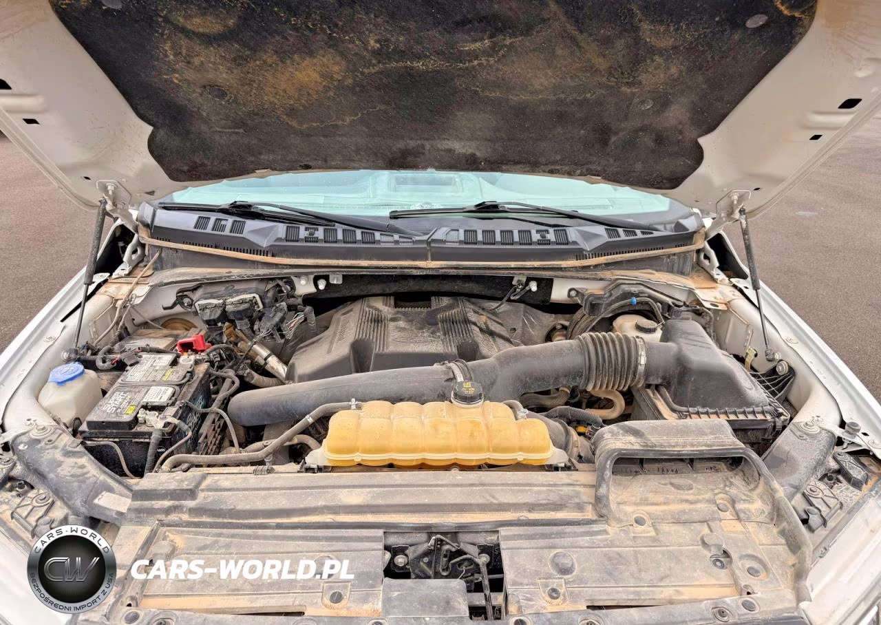 2019 Ford F150 Supercrew VIN:1FTEW1E42KKE96741 - 7