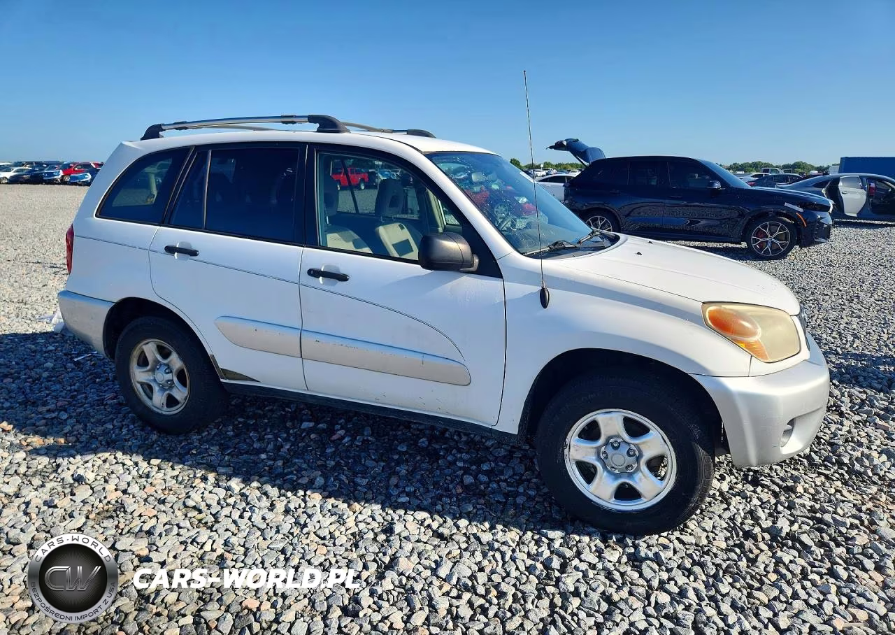 2004 Toyota Rav4 Base VIN:JTEGD20V640009667 - 4