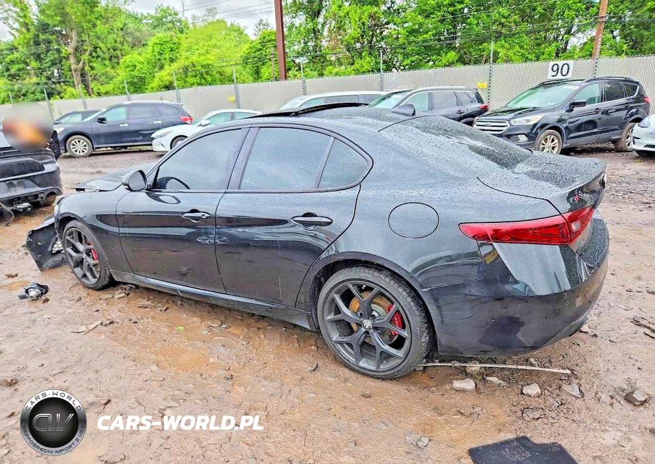 2020 Alfa Romeo Giulia VIN:ZARFANAN1L7635163 - 2