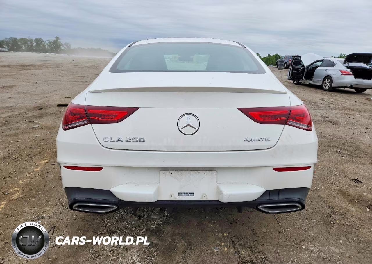 2020 Mercedes-Benz Cla 250 4Matic VIN:WDD5J4HB8LN028058 - 6