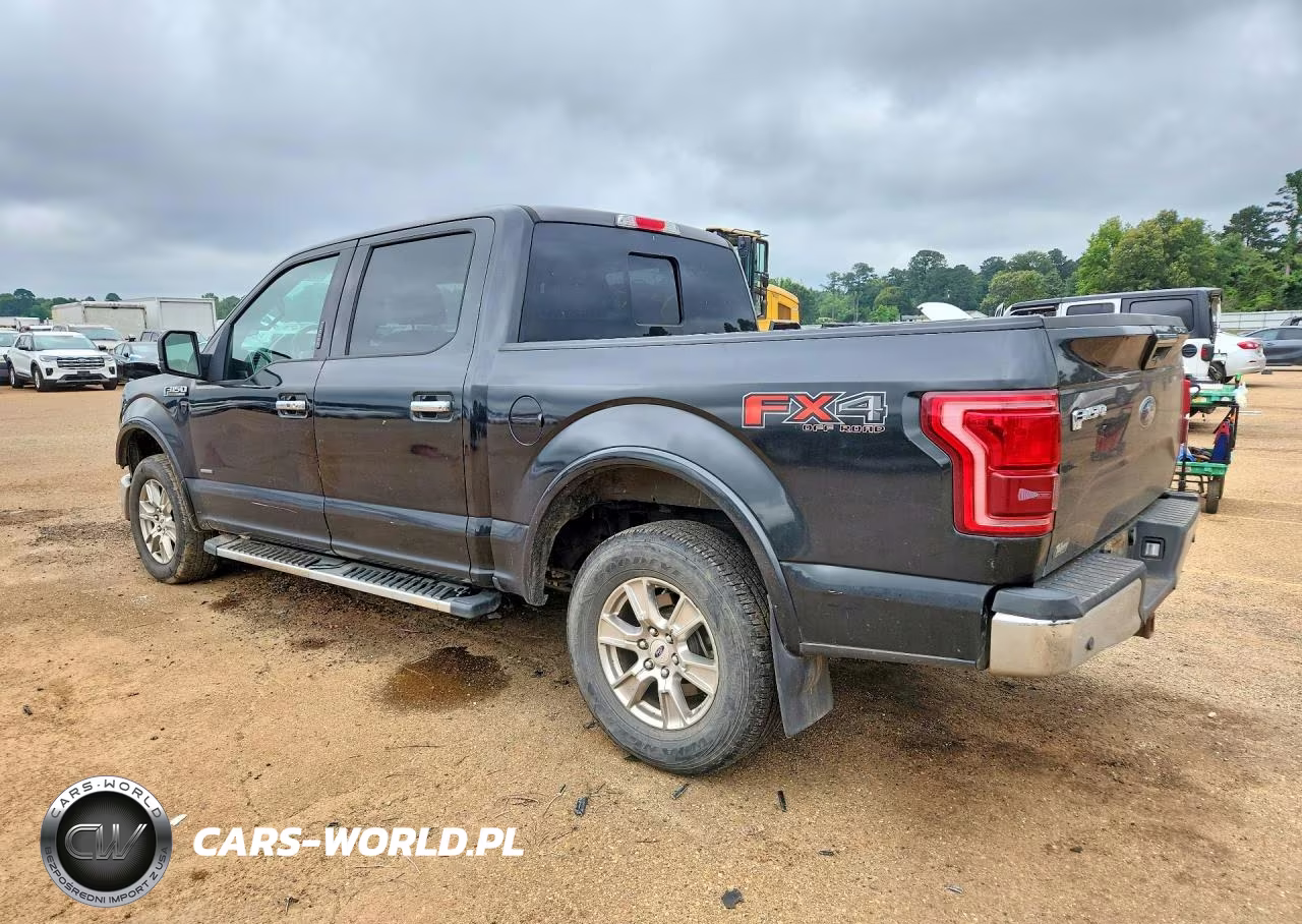 2015 Ford F150 Supercrew VIN:1FTEW1EGXFKD95768 - 2