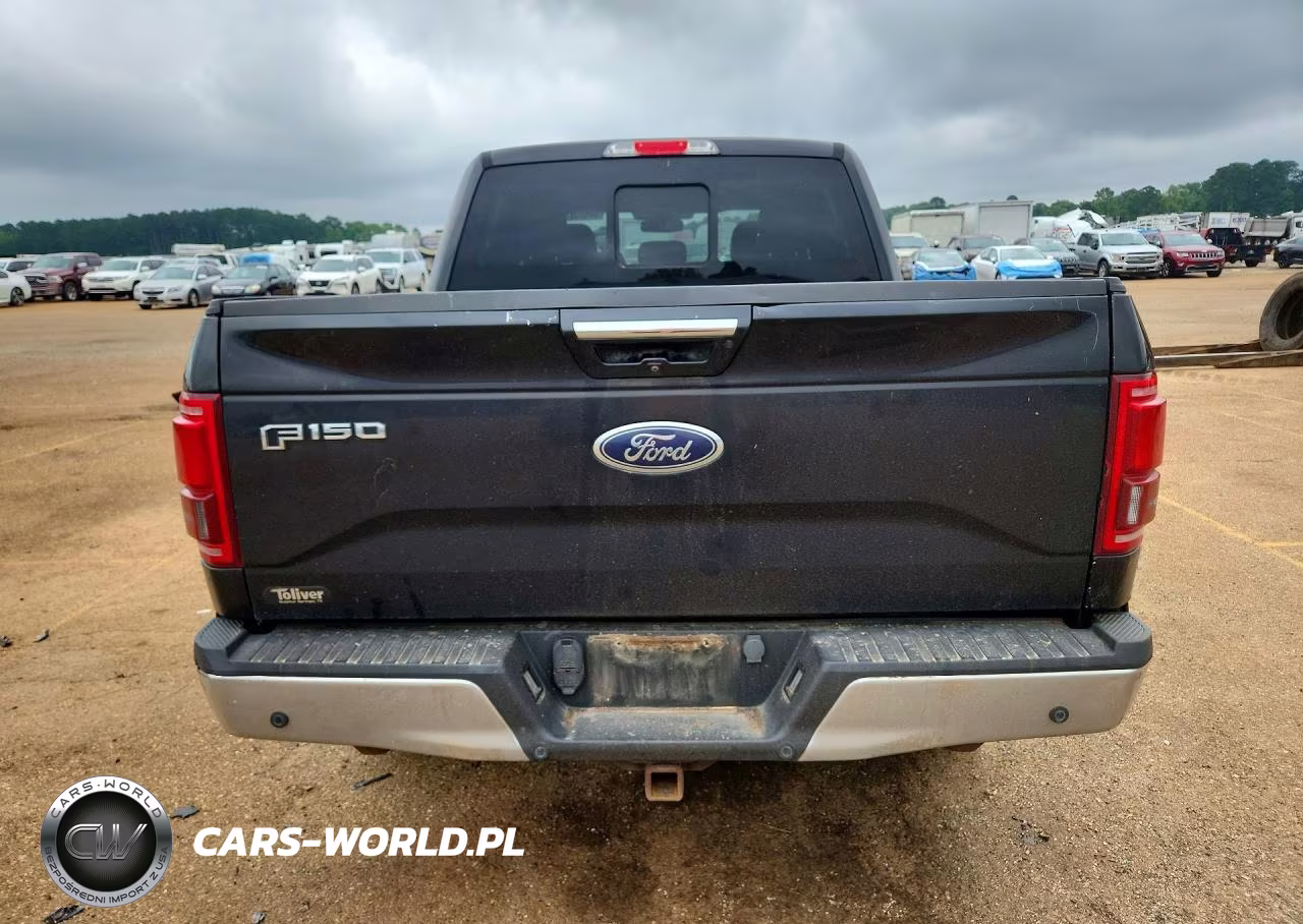 2015 Ford F150 Supercrew VIN:1FTEW1EGXFKD95768 - 6