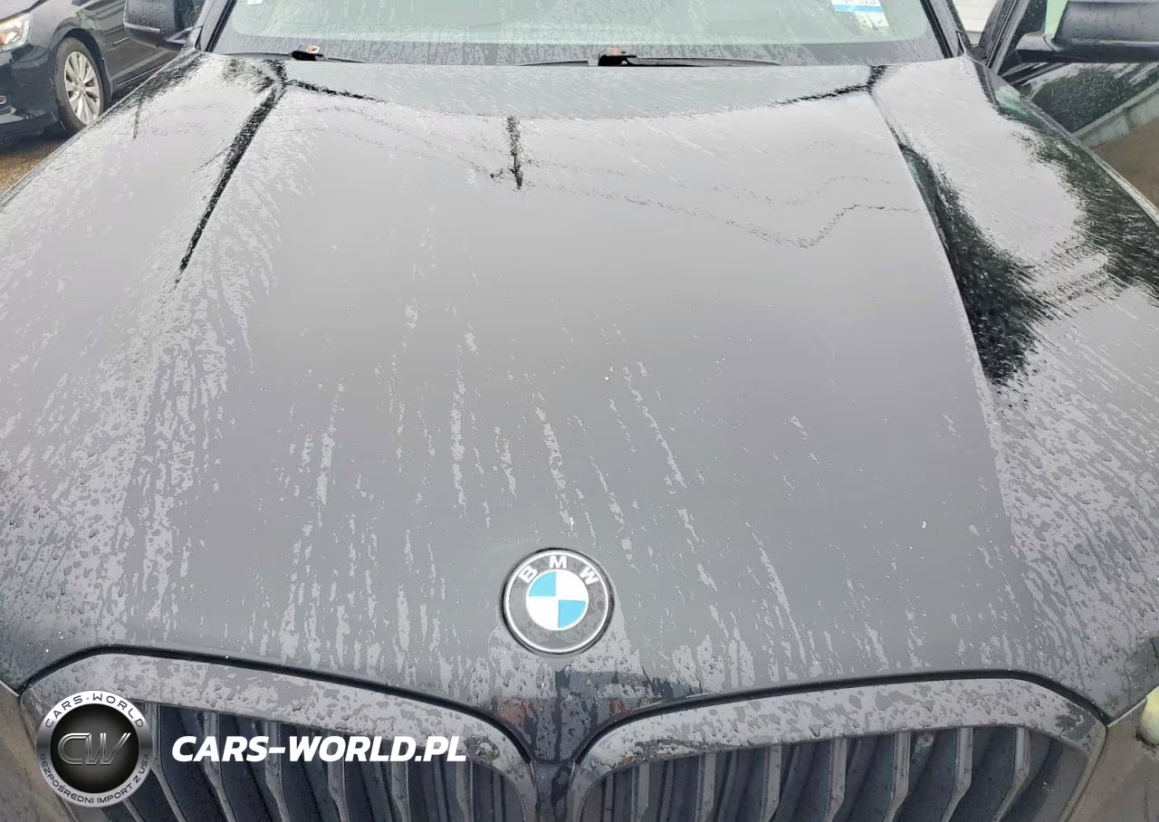 2021 BMW X5 M50I VIN:5UXJU4C01M9F71043 - 12