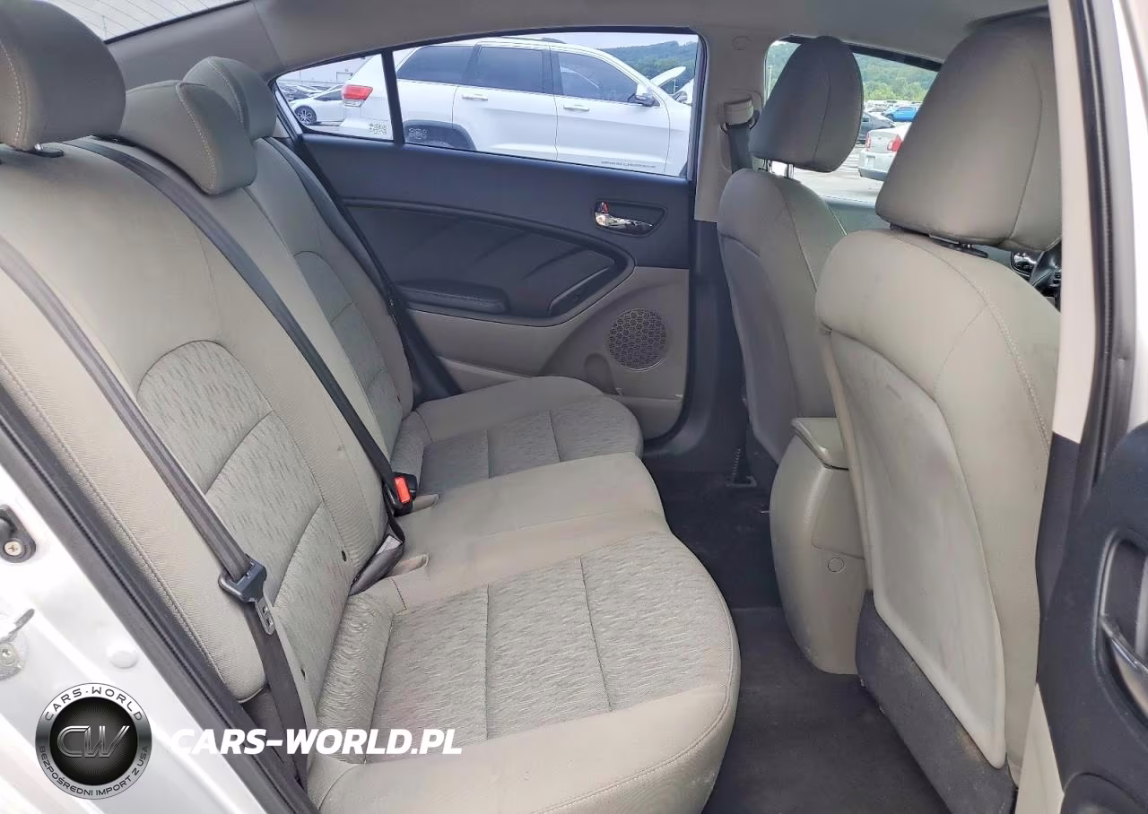 2015 Kia Forte Lx VIN:KNAFK4A60F5378245 - 10