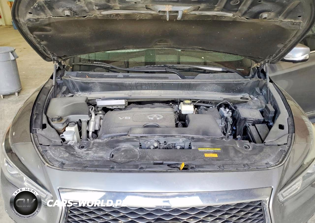 2019 Infiniti Qx60 Luxe VIN:5N1DL0MMXKC527529 - 12