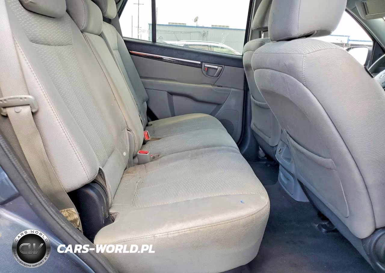 2009 Hyundai Santa Fe Gls VIN:5NMSG13D69H277368 - 10