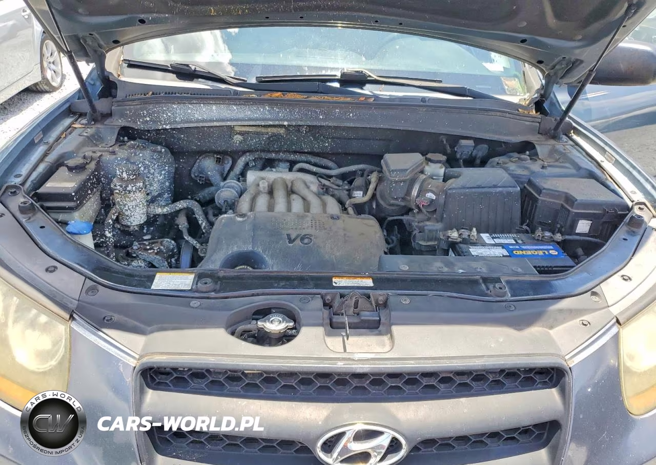 2009 Hyundai Santa Fe Gls VIN:5NMSG13D69H277368 - 11