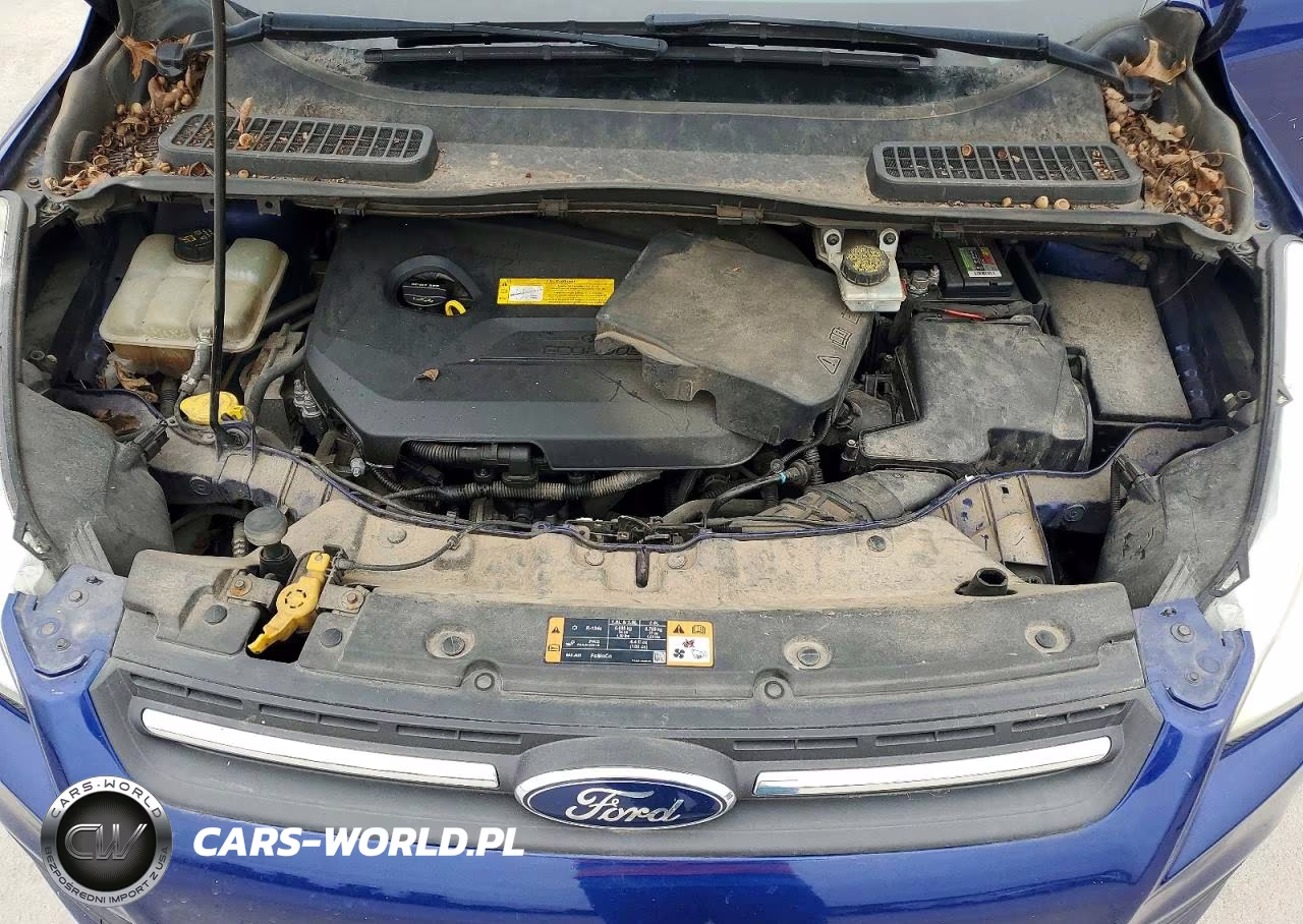 2016 Ford Escape Se VIN:1FMCU0GX1GUC04891 - 12