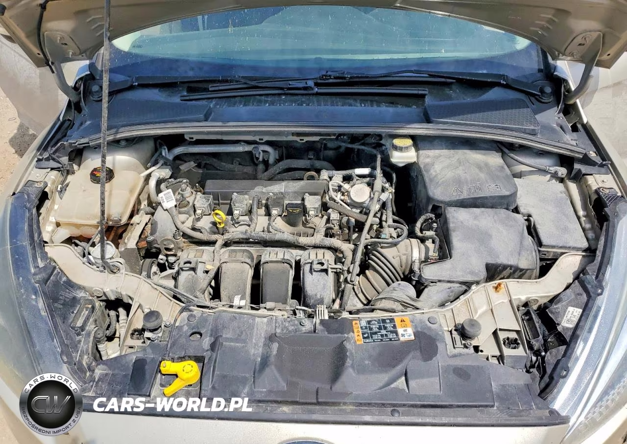 2017 Ford Focus Se VIN:1FADP3F24HL275829 - 11