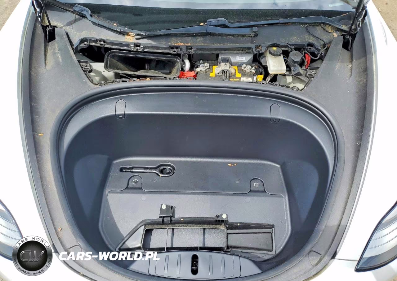 2019 Tesla Model 3 VIN:5YJ3E1EA9KF483241 - 11