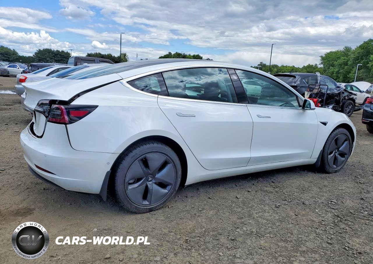 2019 Tesla Model 3 VIN:5YJ3E1EA9KF483241 - 3