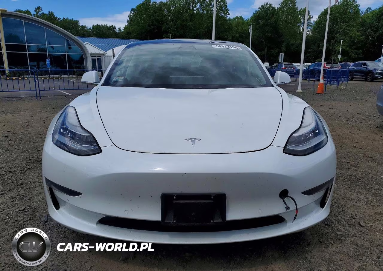 2019 Tesla Model 3 VIN:5YJ3E1EA9KF483241 - 5