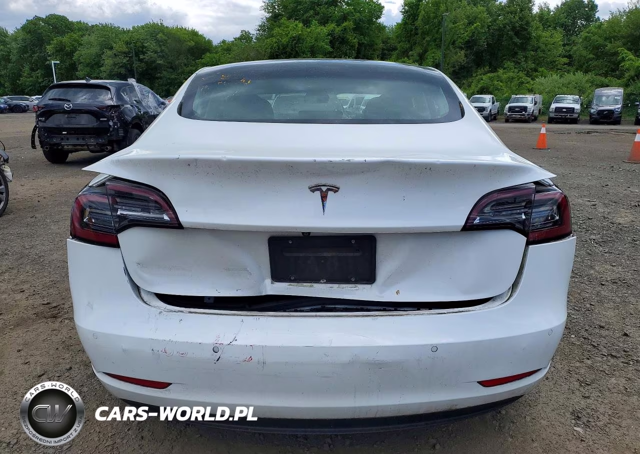 2019 Tesla Model 3 VIN:5YJ3E1EA9KF483241 - 6
