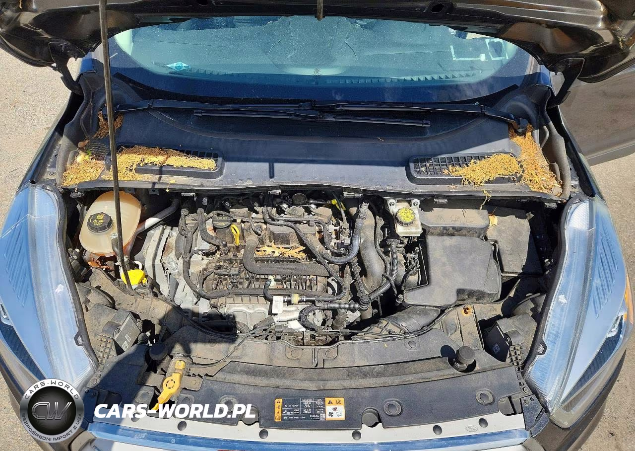 2019 Ford Escape Sel VIN:1FMCU9HD1KUA28197 - 12