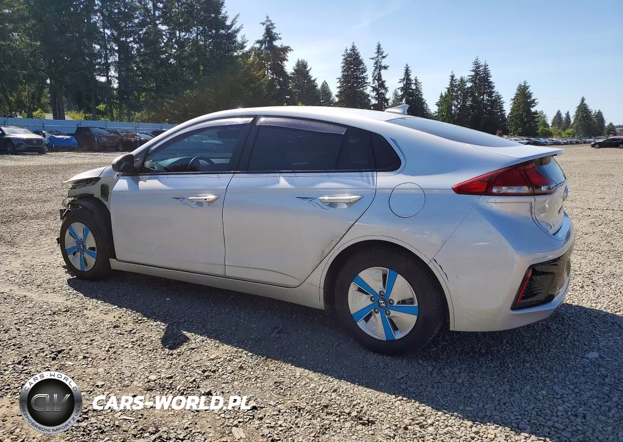 2017 Hyundai Ioniq Blue VIN:KMHC65LC5HU022364 - 2