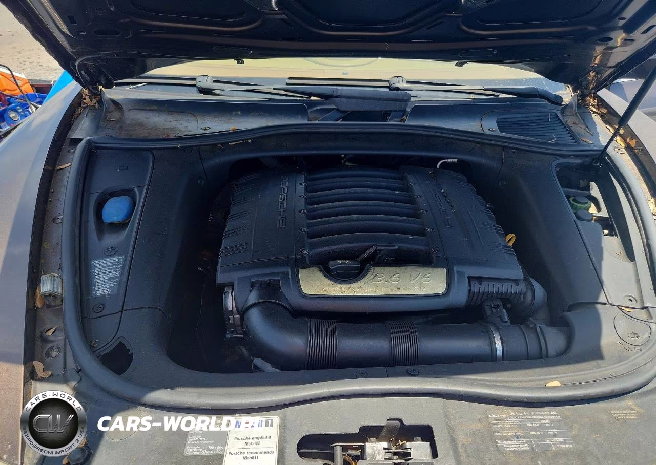 2009 Porsche Cayenne VIN:WP1AA29P59LA06366 - 11