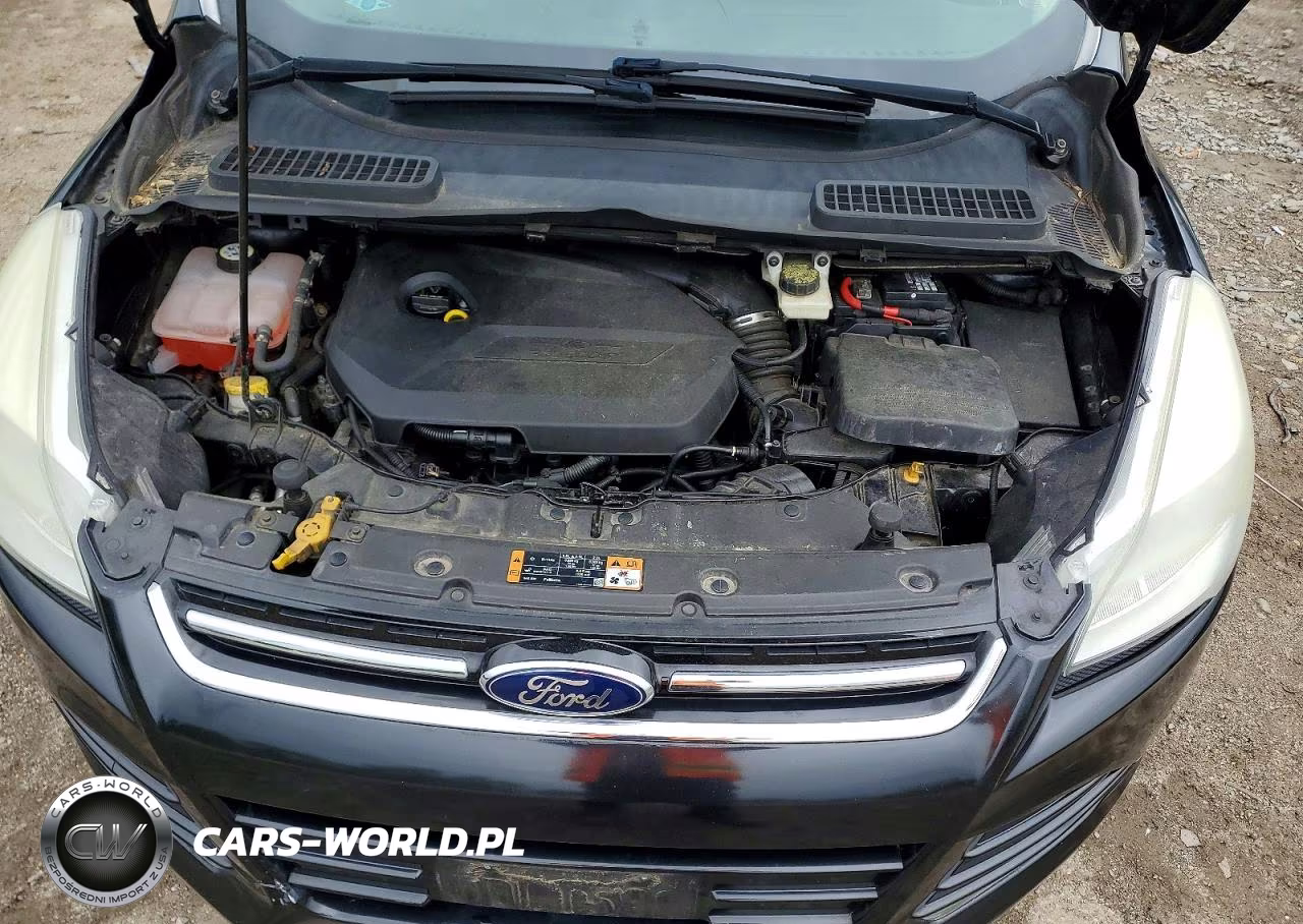 2014 Ford Escape Titanium VIN:1FMCU9JX0EUC14385 - 12