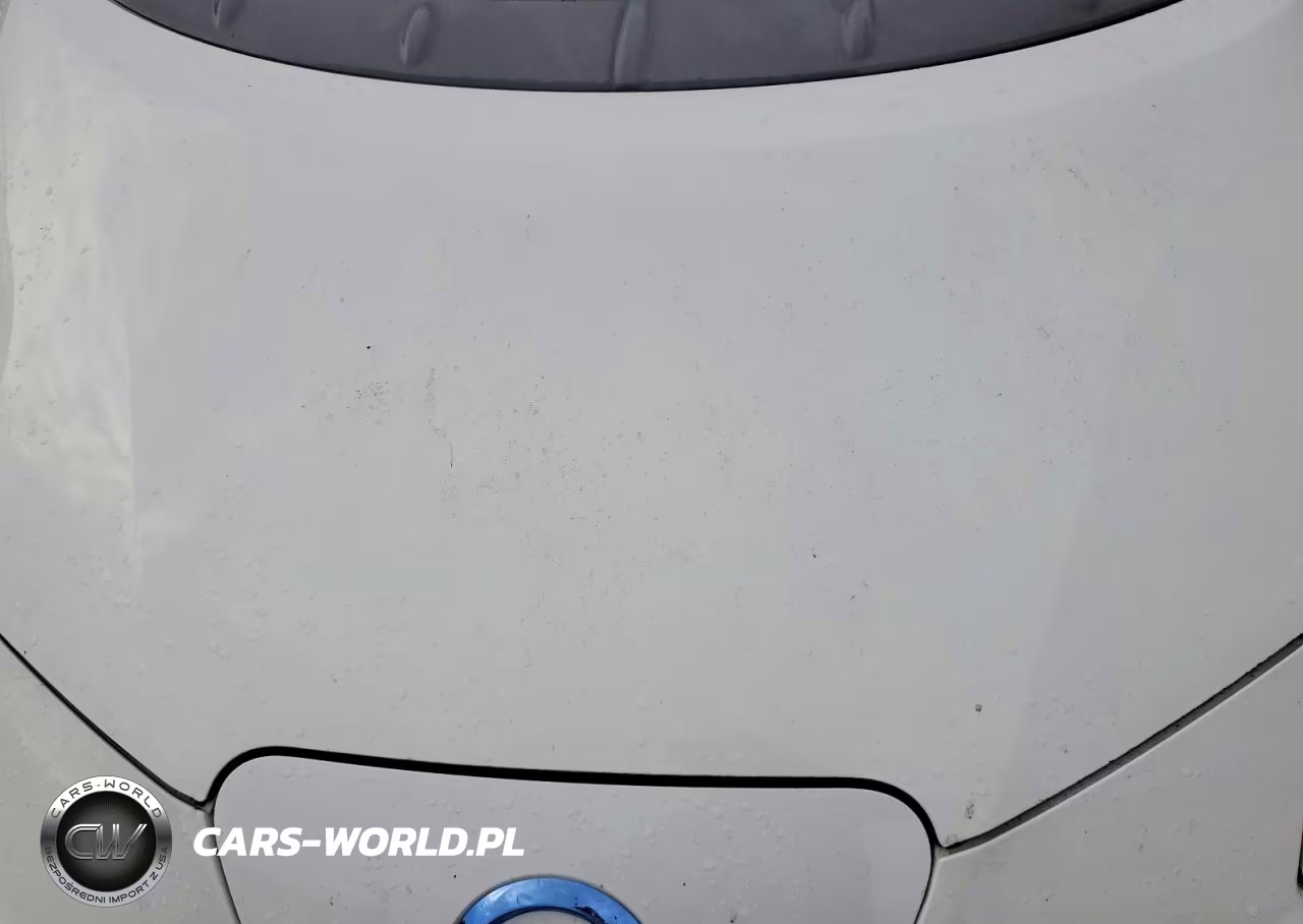 2015 Nissan Leaf Sl VIN:1N4AZ0CPXFC330762 - 11