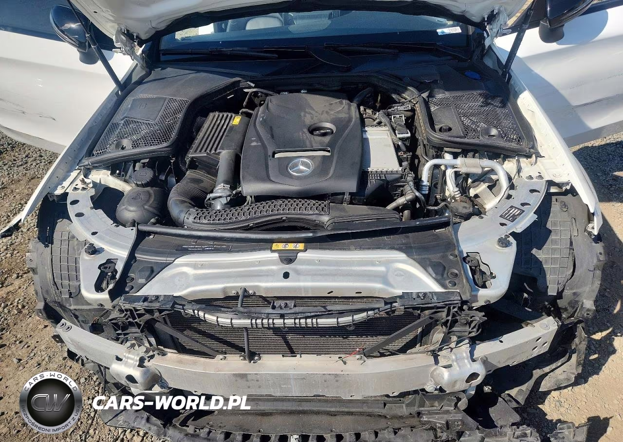 2018 Mercedes-Benz C 300 VIN:WDDWJ4JB5JF750383 - 11