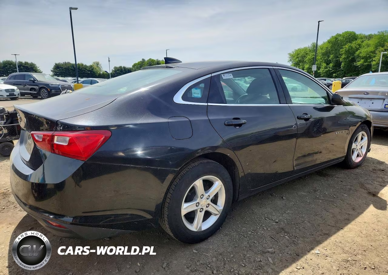 2019 Chevrolet Malibu Ls VIN:1G1ZB5ST4KF188794 - 3