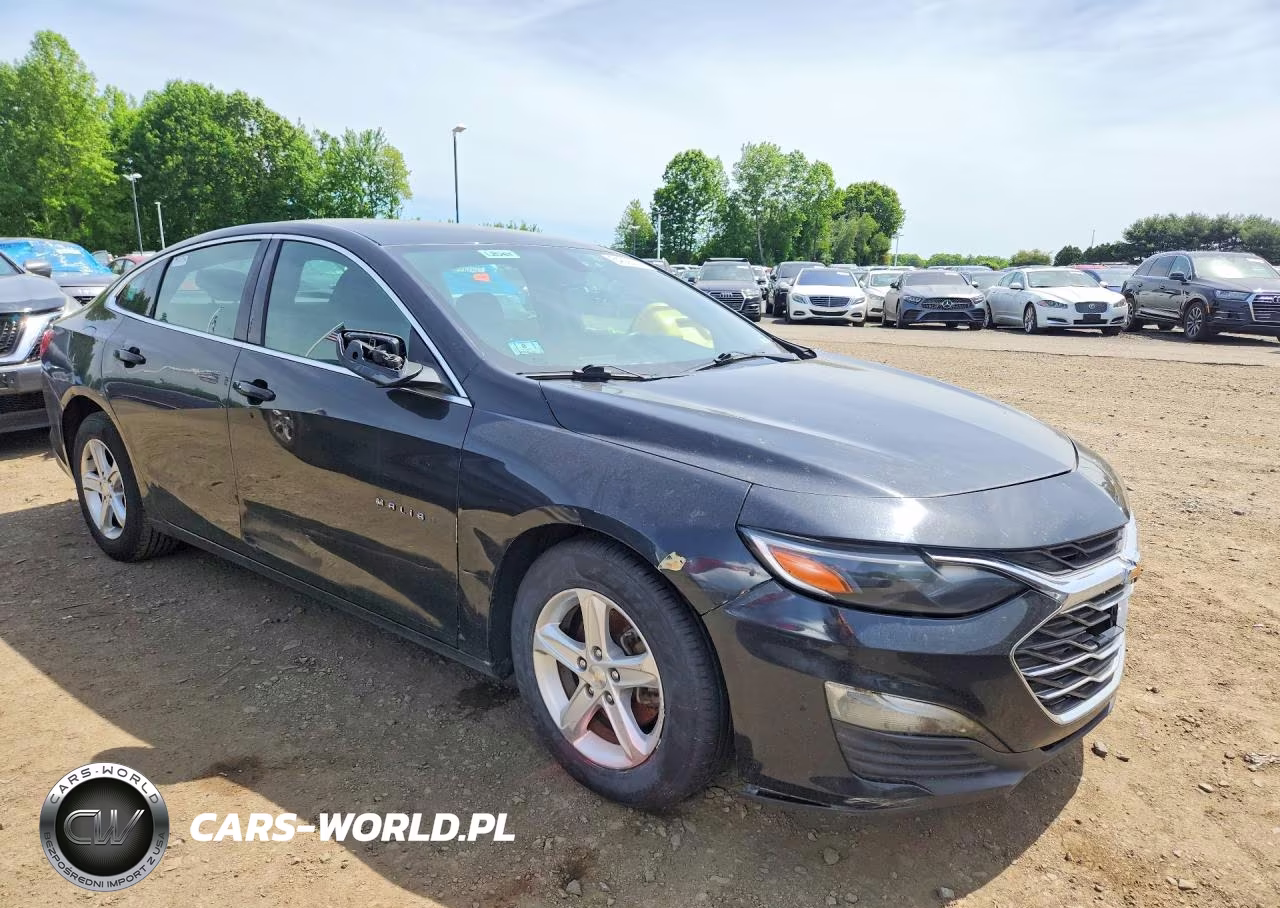 2019 Chevrolet Malibu Ls VIN:1G1ZB5ST4KF188794 - 4