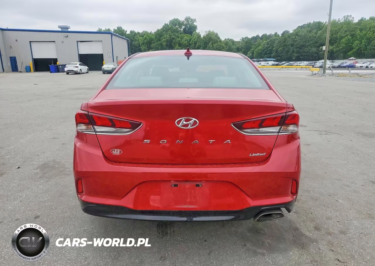 2019 Hyundai Sonata Limited VIN:5NPE34AF6KH766974 - 6