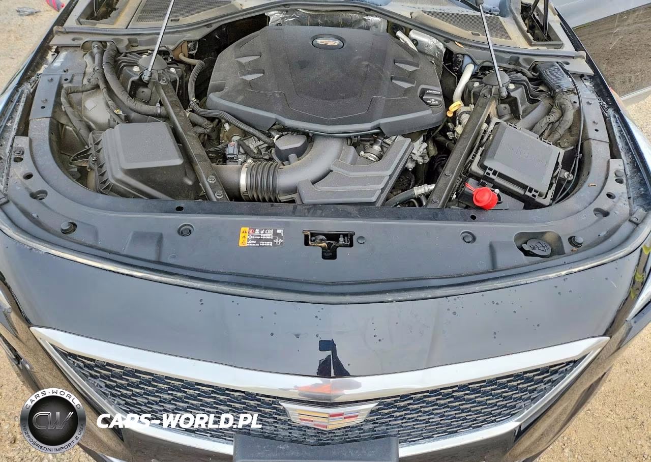 2019 Cadillac Ct6 Premium Luxury Csav VIN:1G6KE5RS6KU128303 - 11