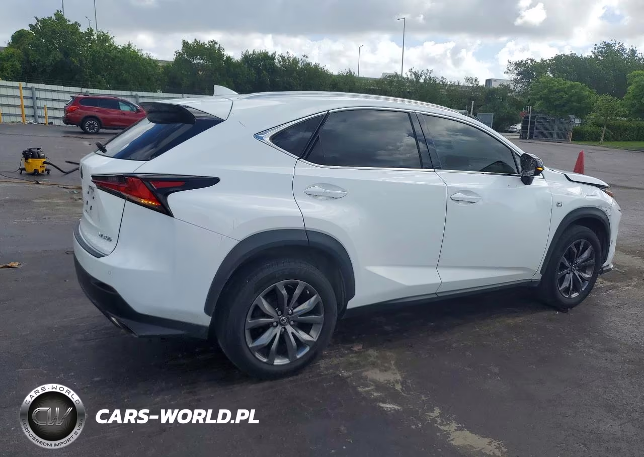 2021 Lexus Nx 300 F Sport VIN:JTJSARBZ9M2193374 - 3