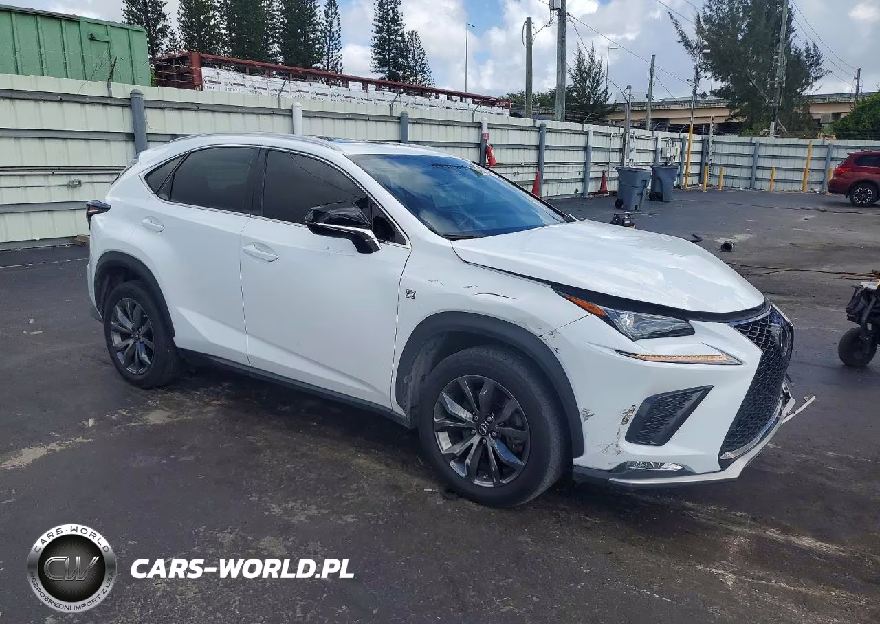 2021 Lexus Nx 300 F Sport VIN:JTJSARBZ9M2193374 - 4