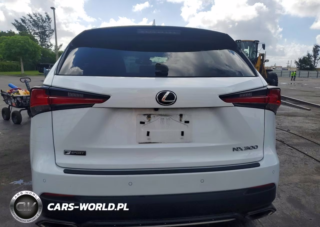 2021 Lexus Nx 300 F Sport VIN:JTJSARBZ9M2193374 - 6