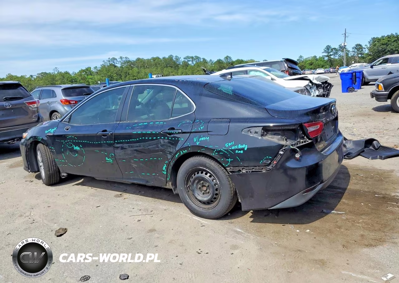 2020 Toyota Camry Le VIN:4T1C31AK9LU539039 - 2