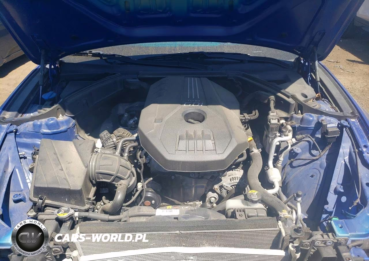 2019 Genesis G70 2.0T Advanced VIN:KMTG44LA8KU025739 - 11
