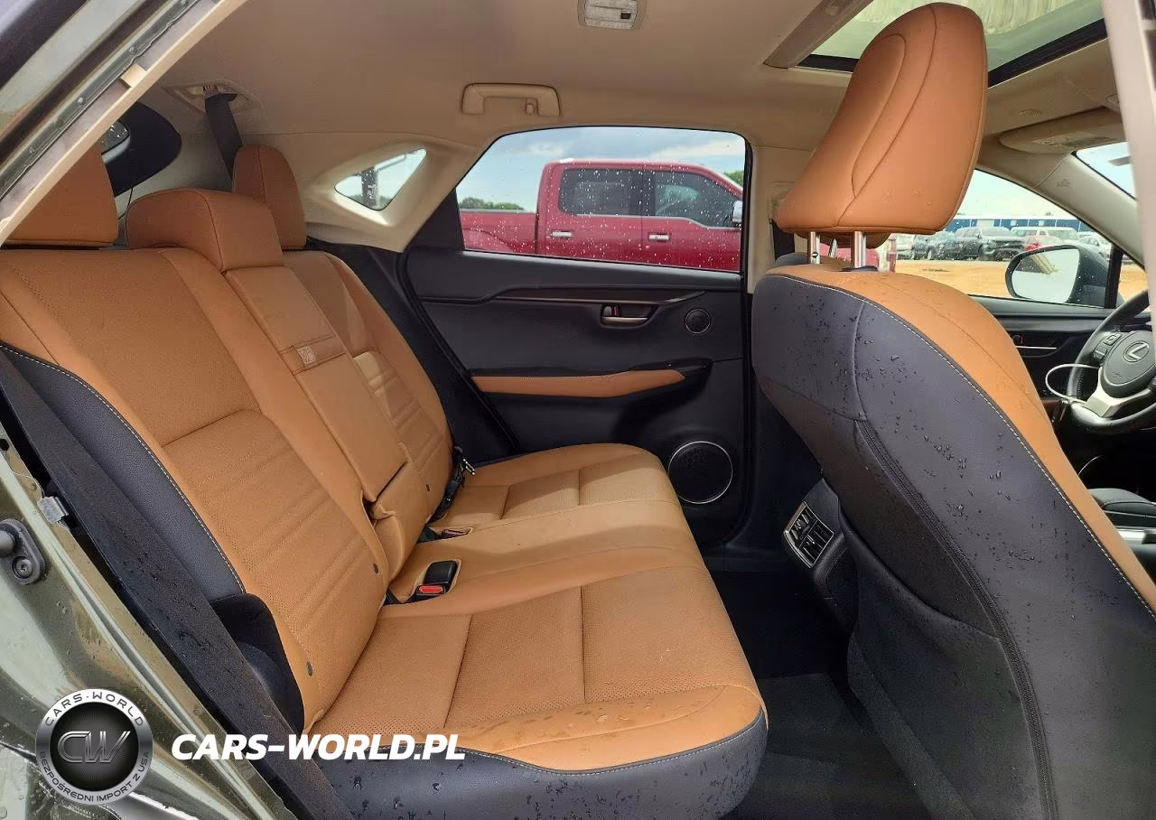 2021 Lexus Nx 300 Base VIN:JTJDARBZ2M2193130 - 11